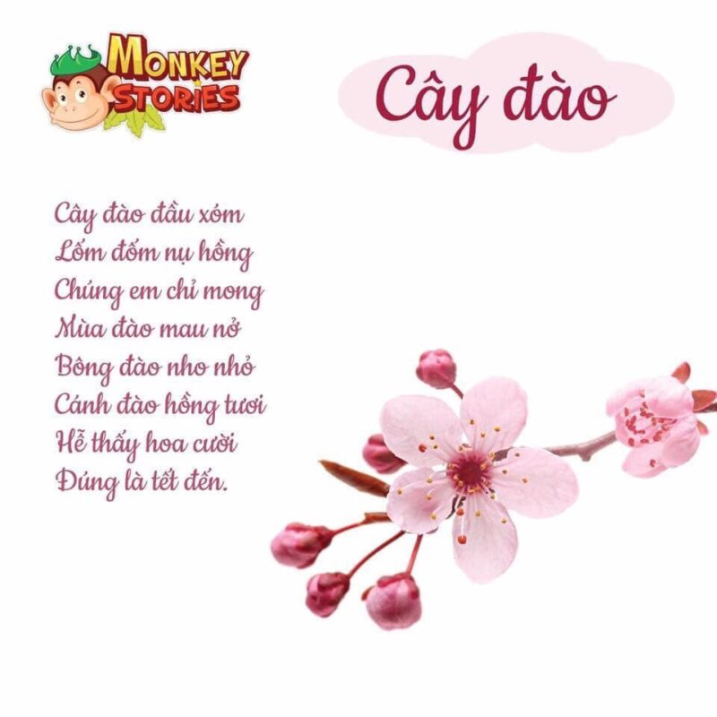 Tuyển Tập Thơ Nhà Trẻ 24-36 Tháng Chủ Đề Thực Vật: Khơi Gợi Tình Yêu Thiên Nhiên Cho Bé