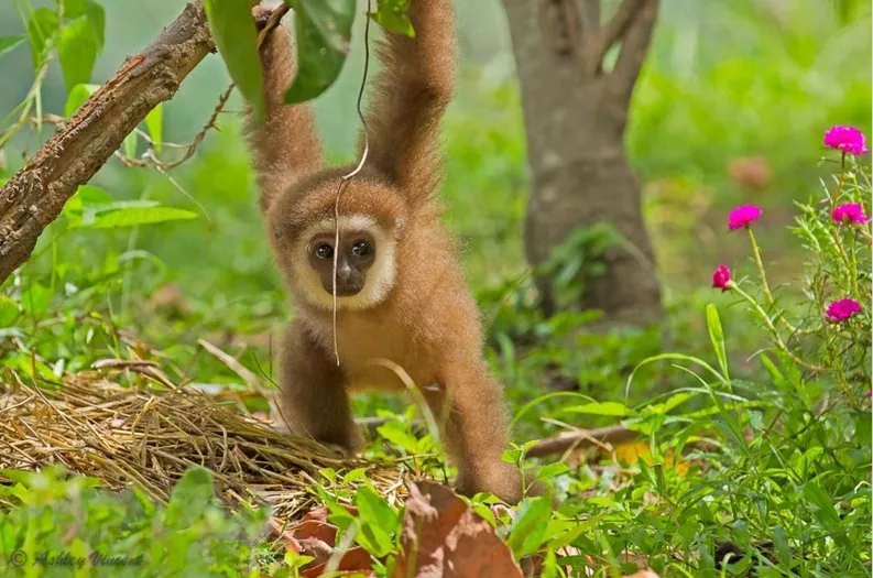 Trần nhôm hệ caro