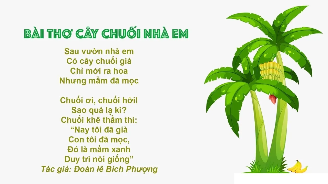 Bài thơ cây chuối nhà em