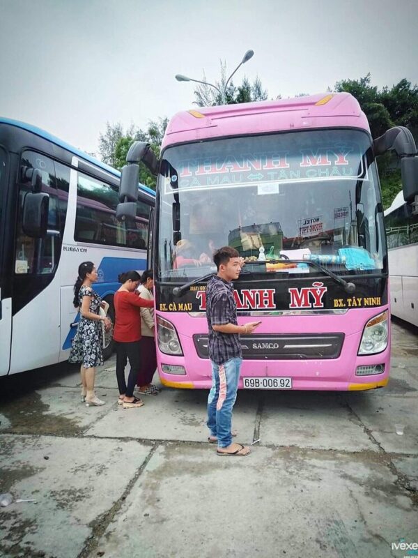 Nhà Xe Thanh Mỹ Cà Mau: Thông Tin Chi Tiết Lịch Trình, Giá Vé & Đánh Giá