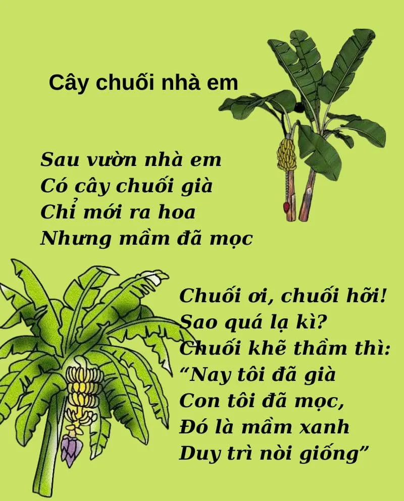 Tranh bài thơ cây chuối nhà em