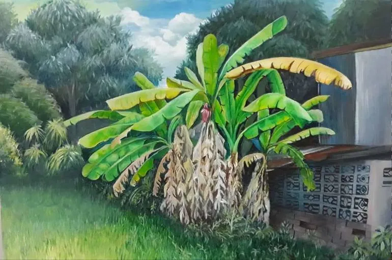 Vườn chuối sau nhà