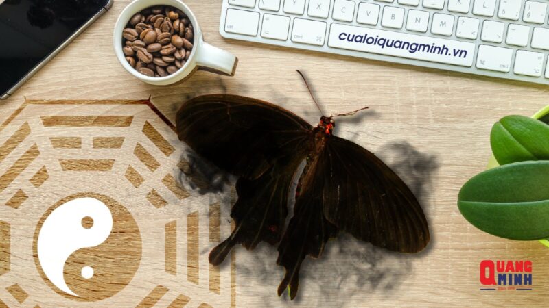 Bướm Đen Bay Vào Nhà: Giải Mã Điềm Báo Và Ý Nghĩa Phong Thủy